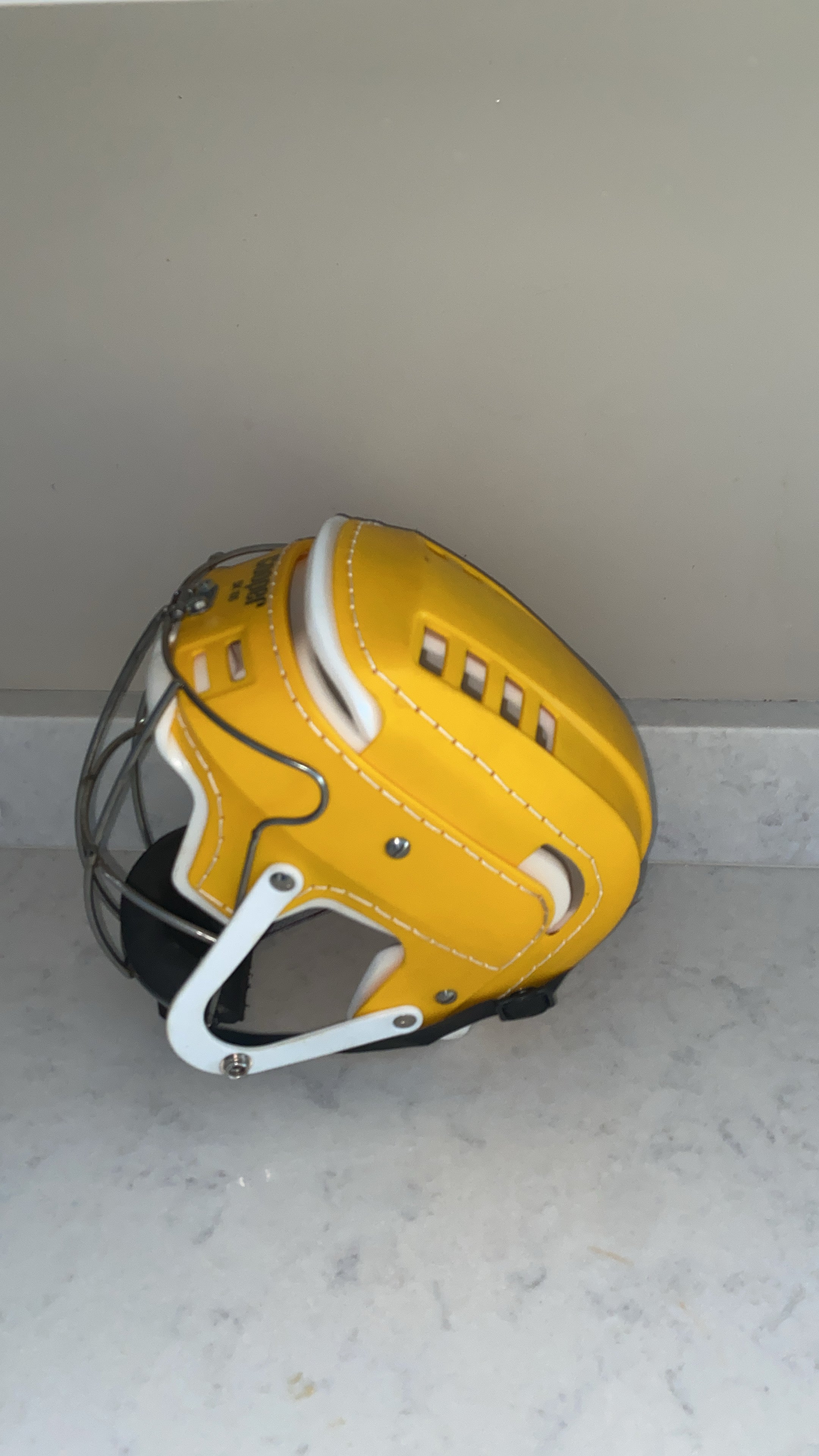 DW Sports Guard