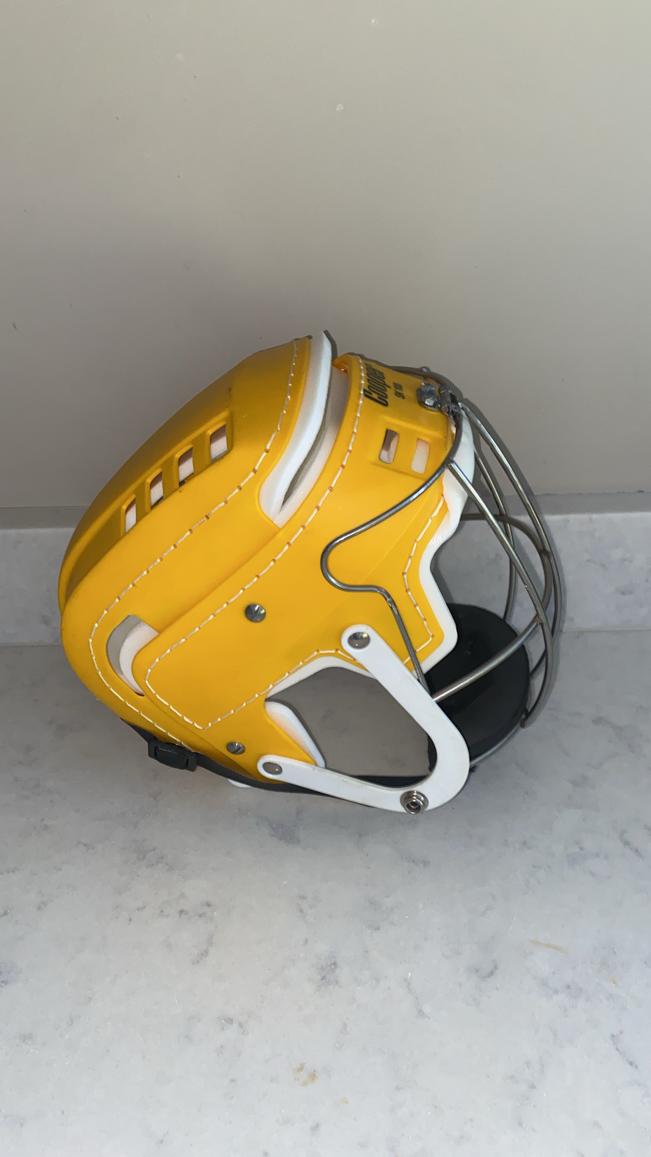 DW Sports Guard